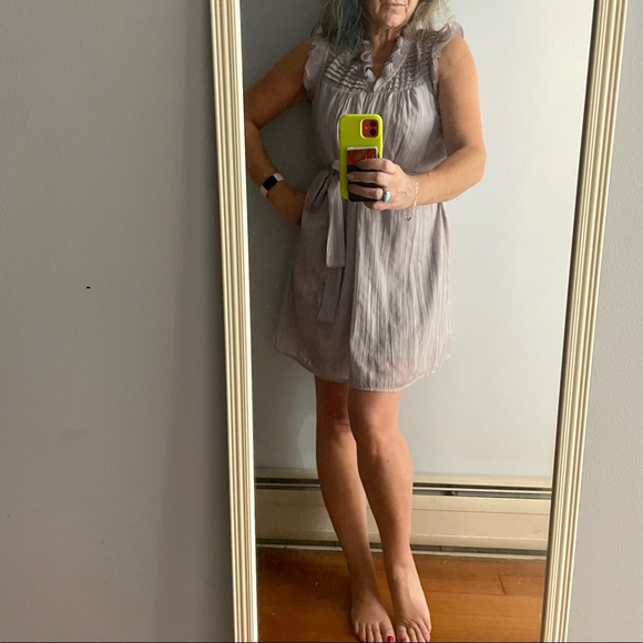 Gray Chiffon Dress - Picture 5 of 5